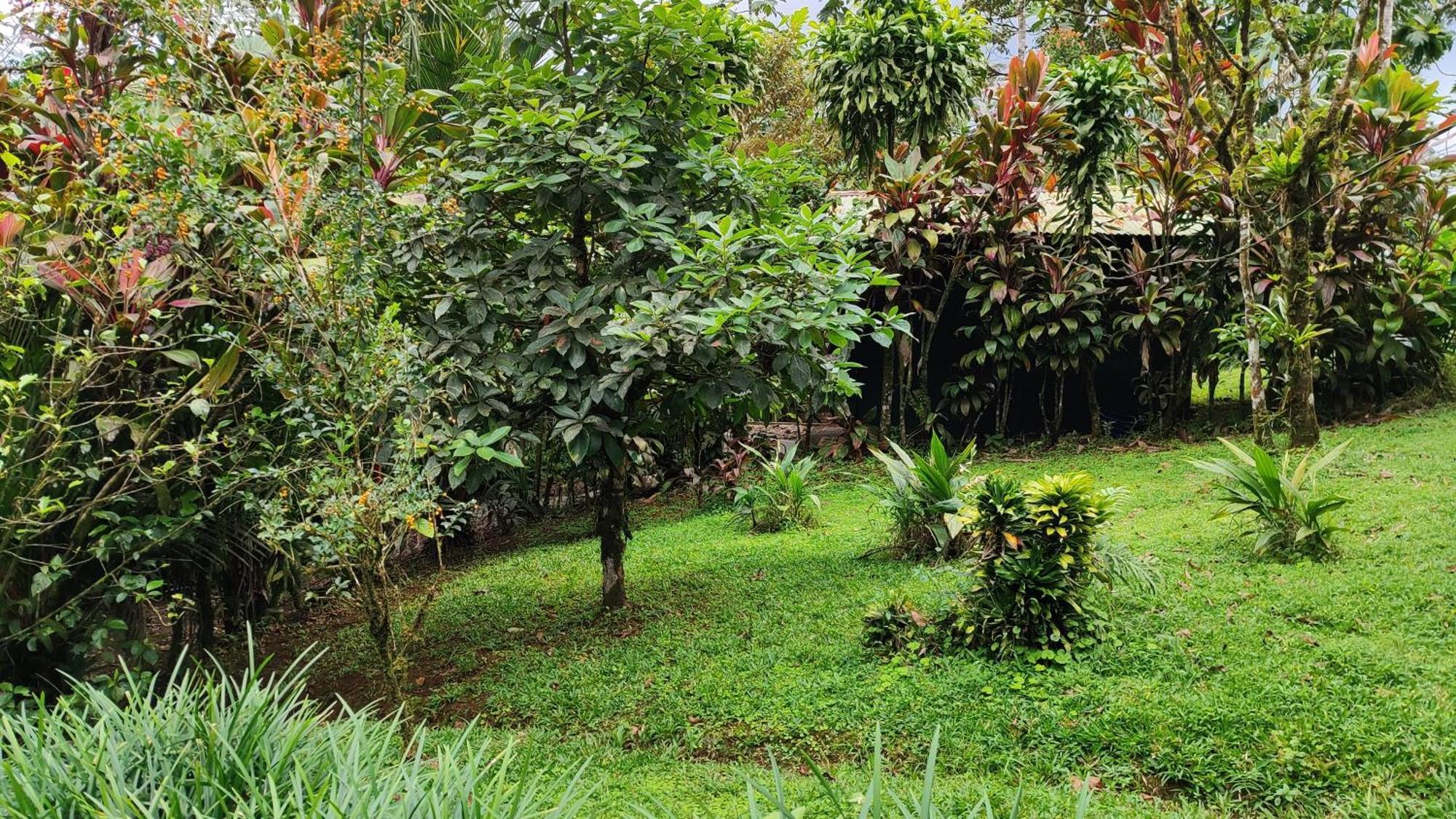 Rio Celeste Nature View Upala Chambre photo
