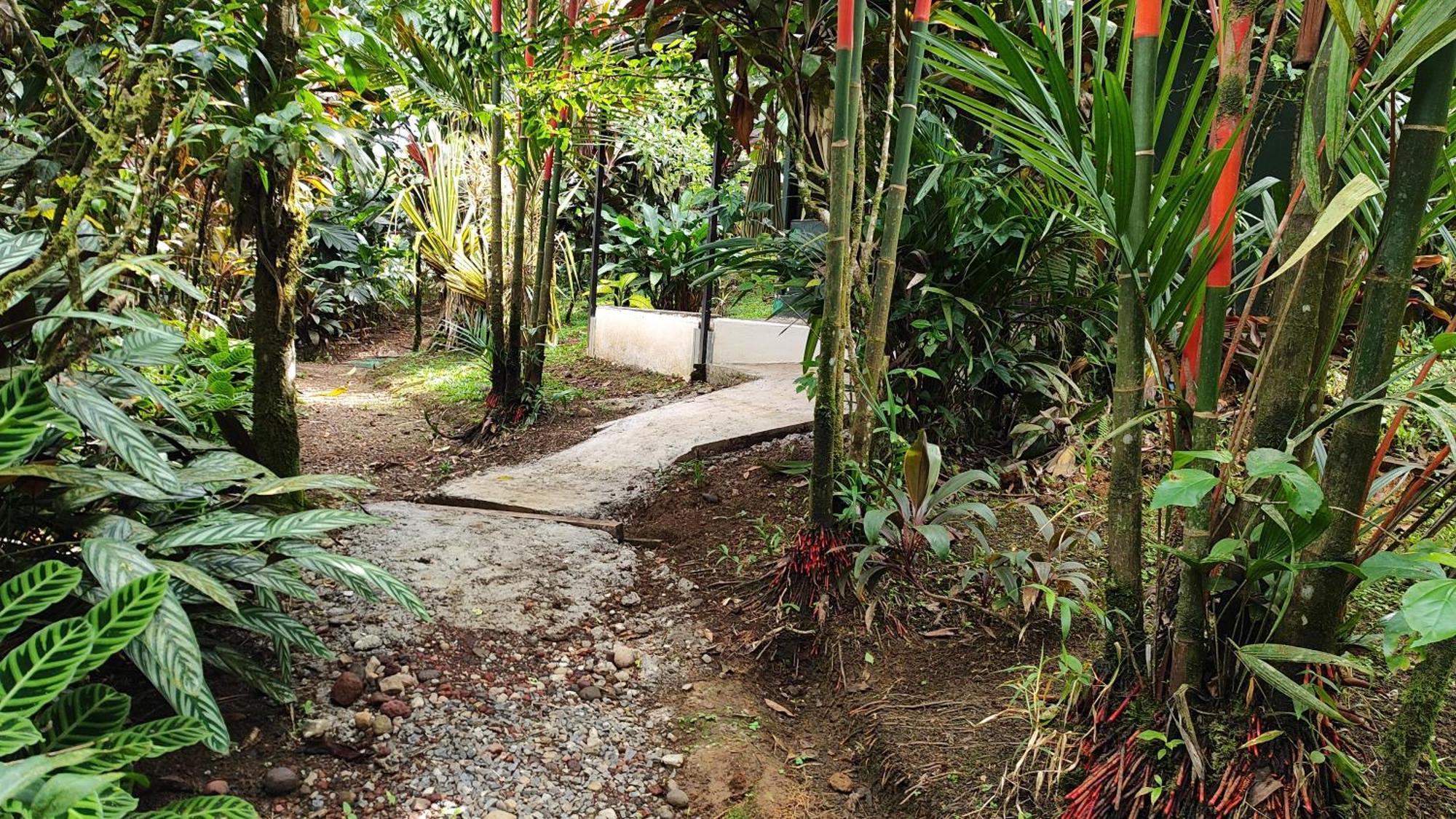 Rio Celeste Nature View Upala Chambre photo